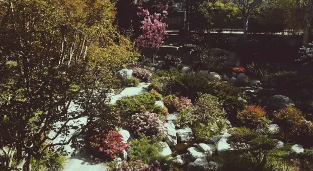 outdoor garden with shrubs and trees