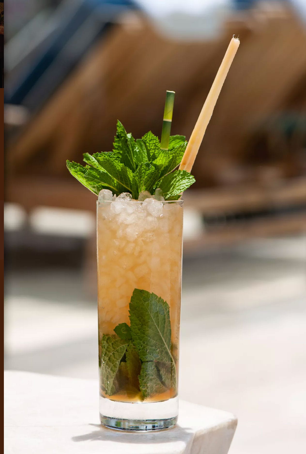 tropical cocktail with highball glass and large mint leaves