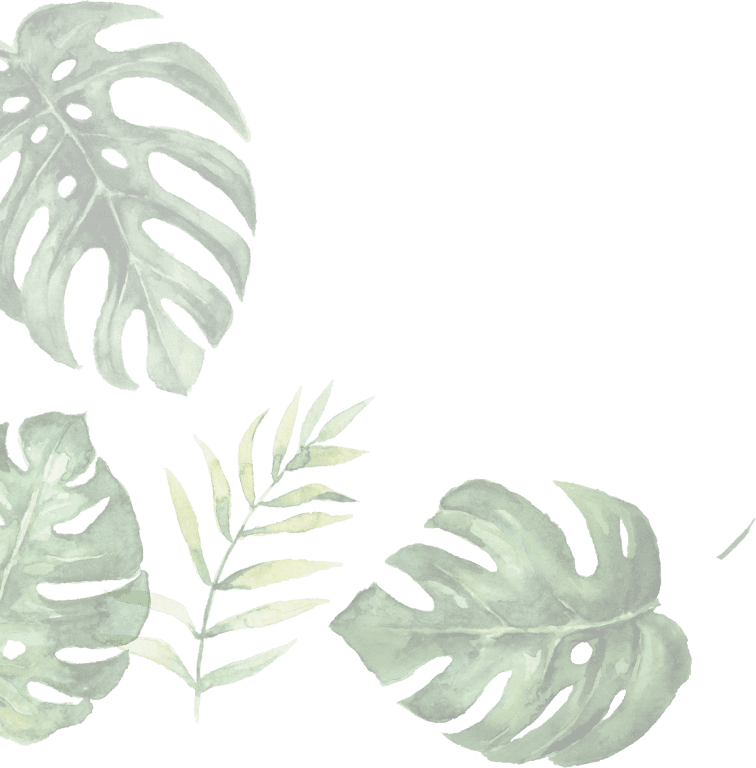 illustration of leaves