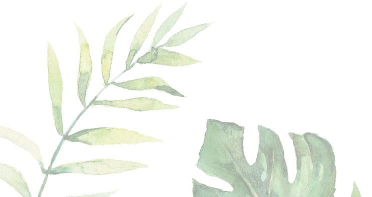 illustration of tropical leaves
