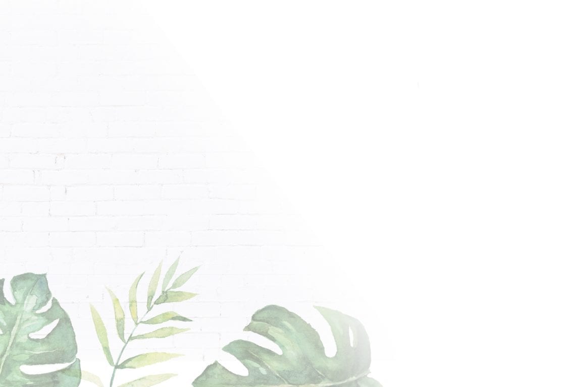 illustration of tropical leaves