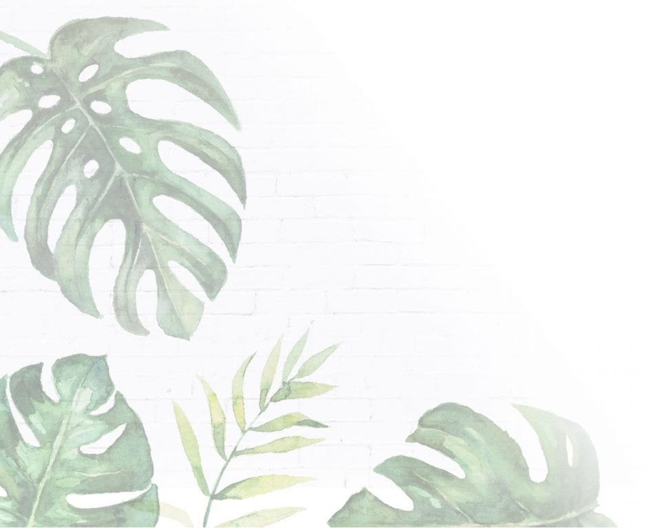illustration of tropical leaves