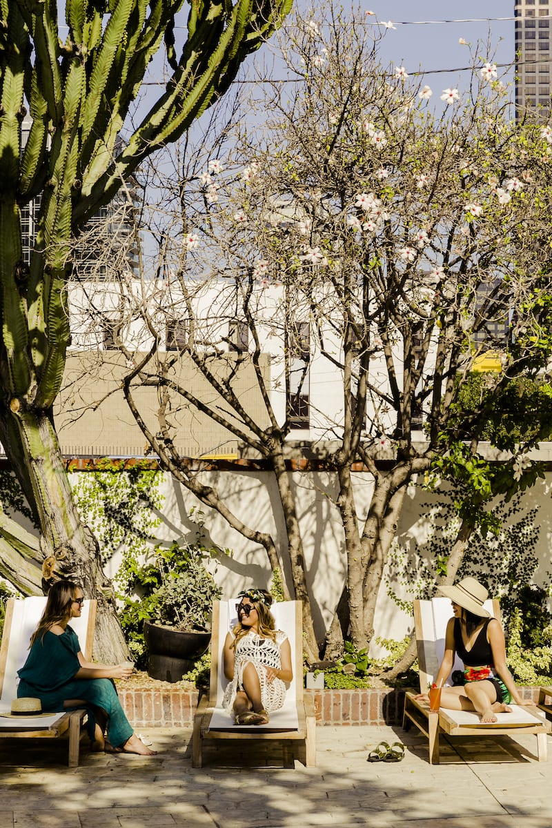 women sitting outdoors on lounge chairs under a cactus and cherry blossom tree