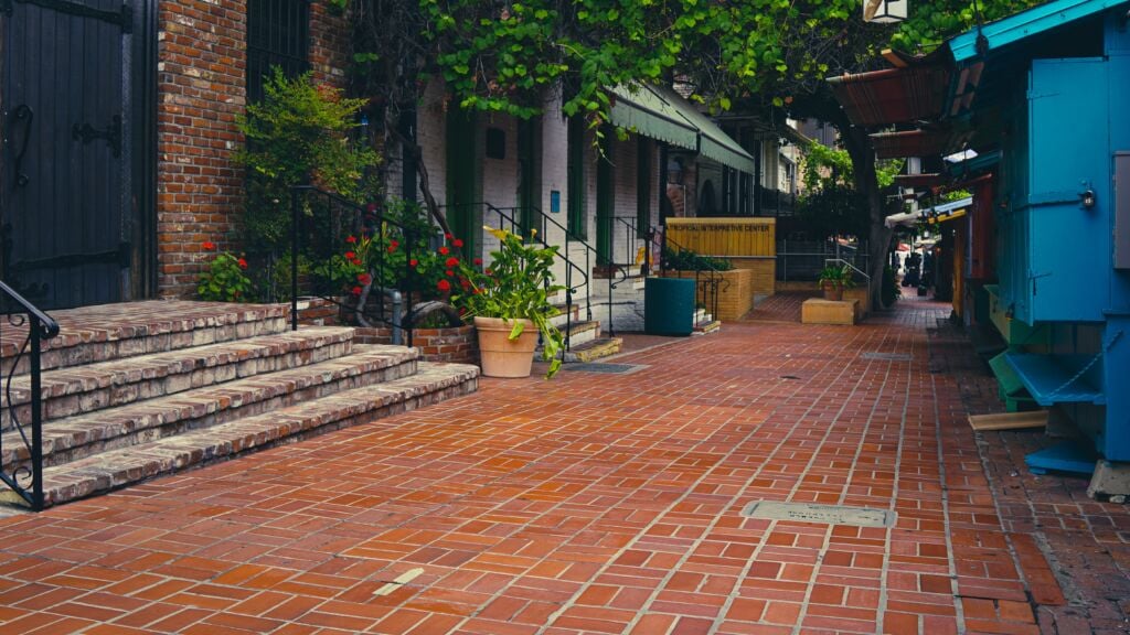 kind and curious yLwYJxhlWHI unsplash