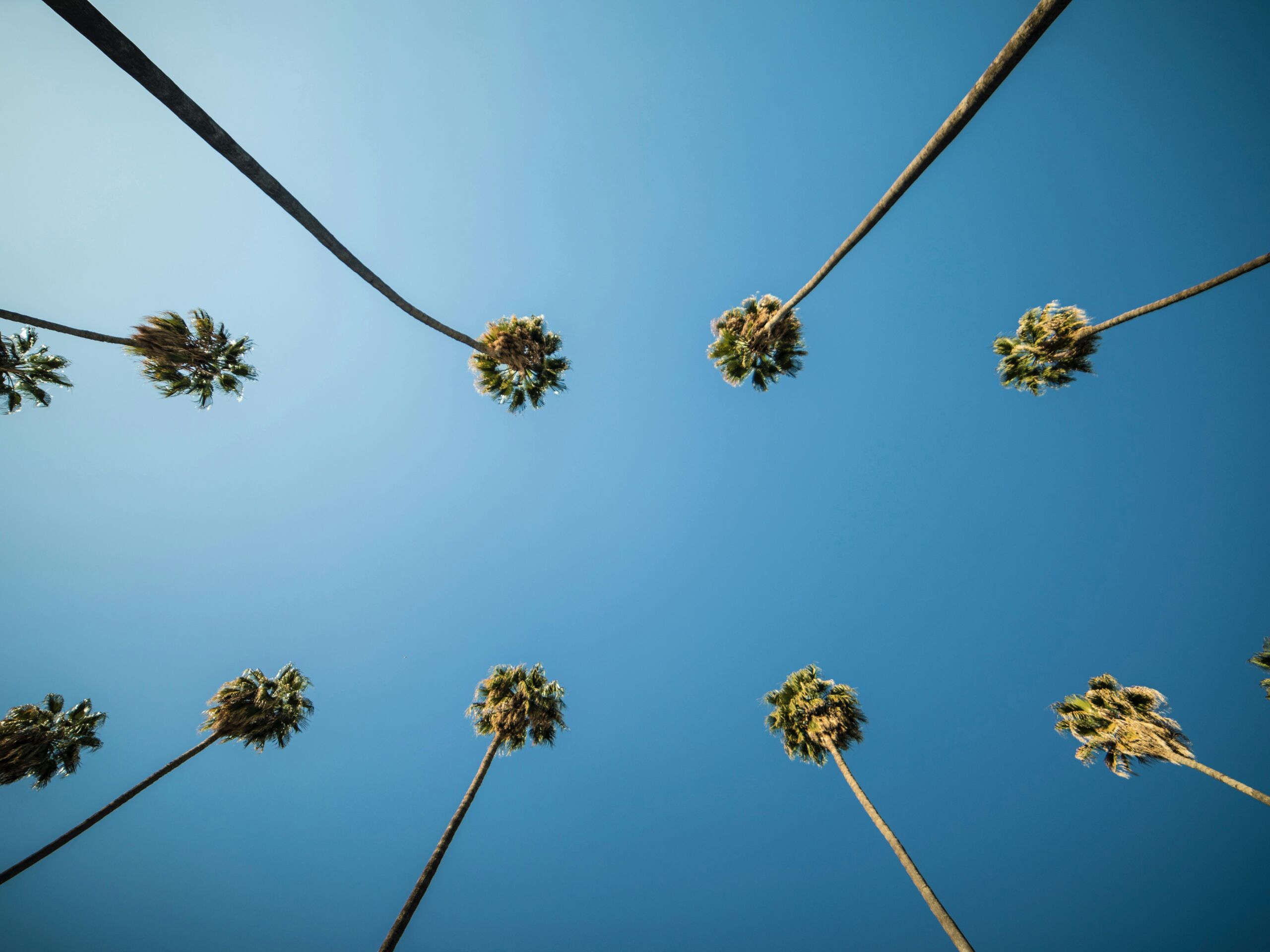 shot by joe LZr7ZcMVDs4 unsplash